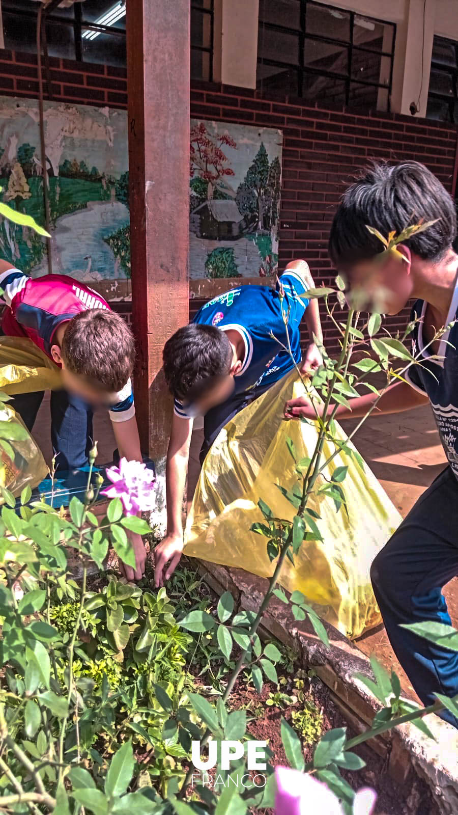 Escuela libre de criaderos de mosquitos: Minga Ambiental en la Escuela San Pedro Apóstol